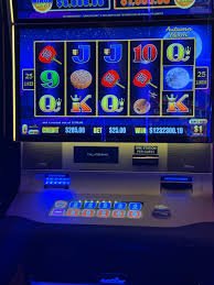 k9win apk Bingo